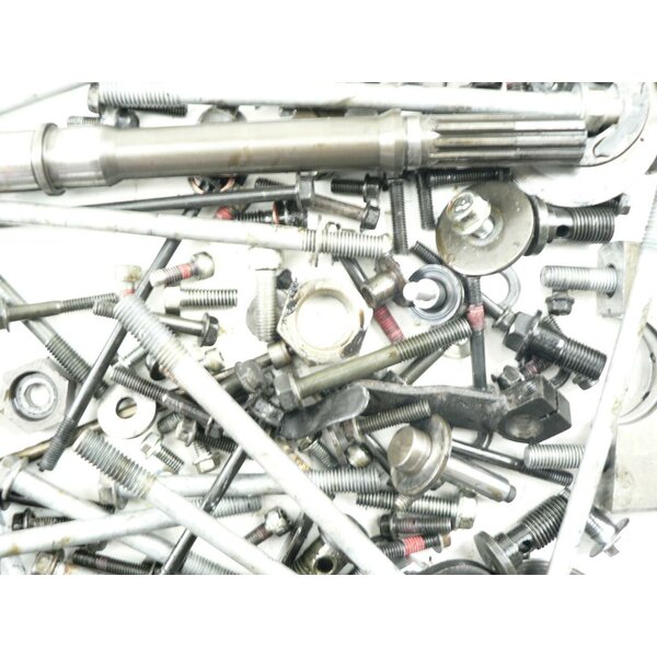 Kawasaki GPZ 1100 ZXT10E Schrauben Kleinteile Motor / screws small parts engine