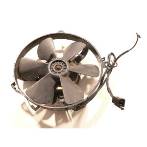 Honda CBR 1000 F SC24 Khlerlfter Ventilator / fan