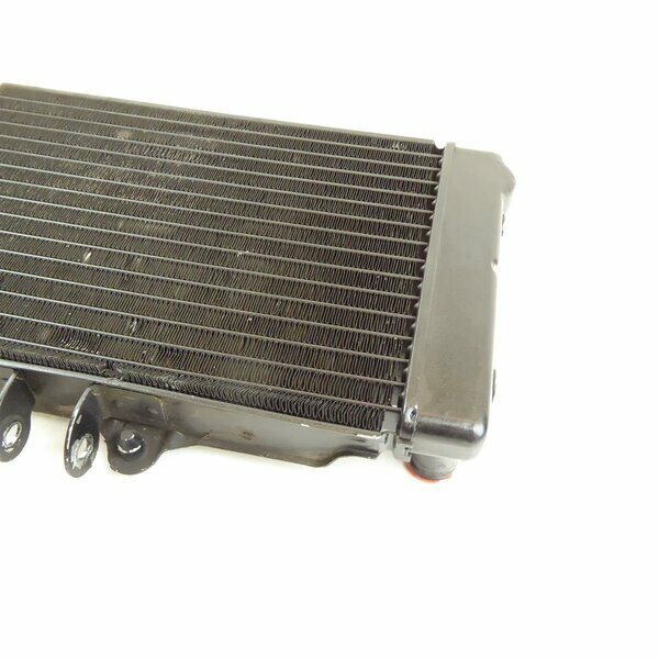 Honda NTV 650 RC33 Kühler Wasserkühler / radiator 