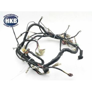 Hyosung GS 125 Kabelbaum Kabelstrang Kabel / harness #2